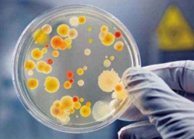 ԭλлȾ԰޸- ǿ΢޸